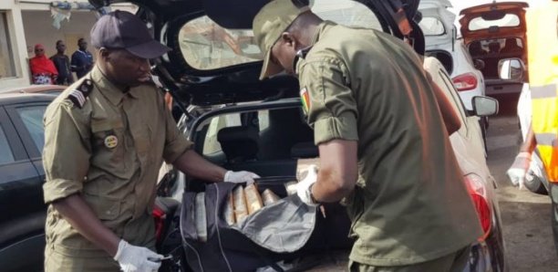 Port de Dakar : Nouvelle saisie de drogue d'une valeur de 3 milliards F Cfa Port de Dakar : Nouvelle saisie de drogue d'une valeur de 3 milliards F Cfa