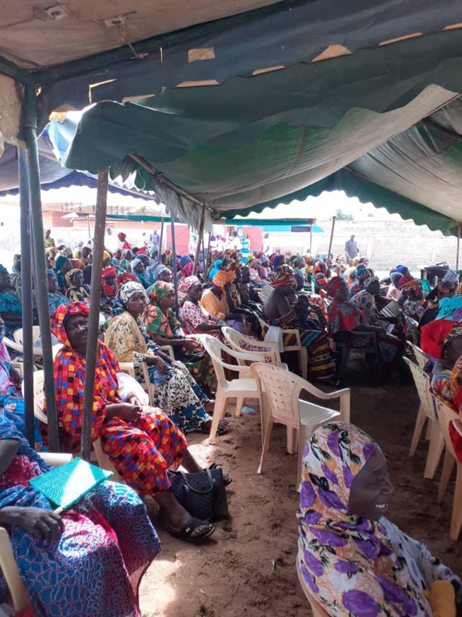 Oeuvre sociale: Association NIOMINKA a enregistré 850 femmes pour des consultations gratuites dans l'Ile du Saloum Oeuvre sociale: Association NIOMINKA a enregistré 850 femmes pour des consultations gratuites dans l'Ile du Saloum
