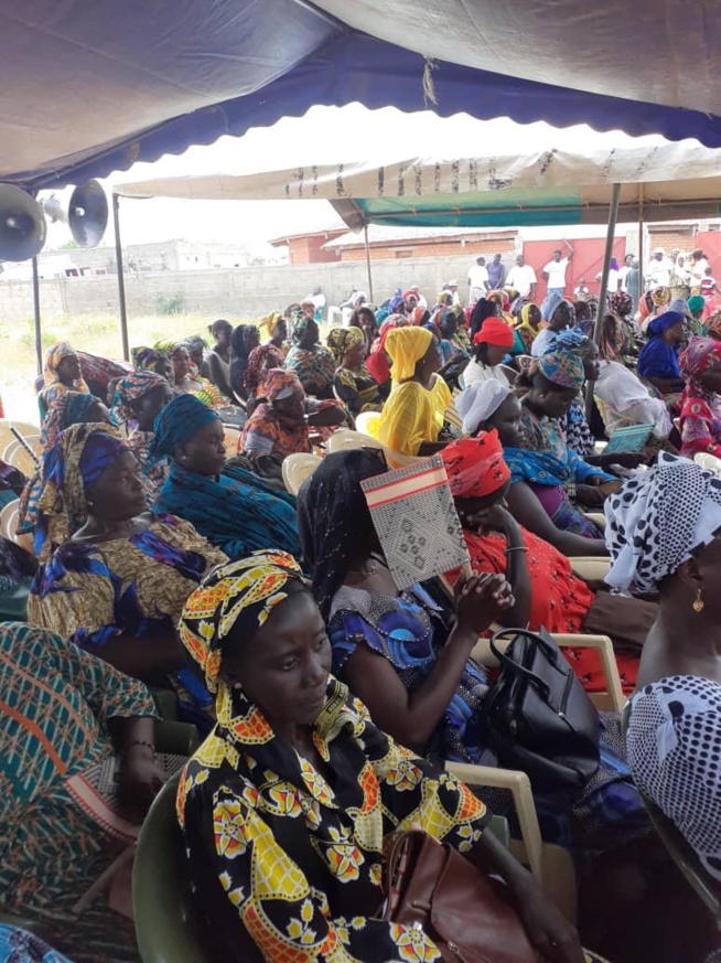 Oeuvre sociale: Association NIOMINKA a enregistré 850 femmes pour des consultations gratuites dans l'Ile du Saloum Oeuvre sociale: Association NIOMINKA a enregistré 850 femmes pour des consultations gratuites dans l'Ile du Saloum