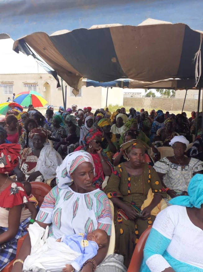 Oeuvre sociale: Association NIOMINKA a enregistré 850 femmes pour des consultations gratuites dans l'Ile du Saloum Oeuvre sociale: Association NIOMINKA a enregistré 850 femmes pour des consultations gratuites dans l'Ile du Saloum