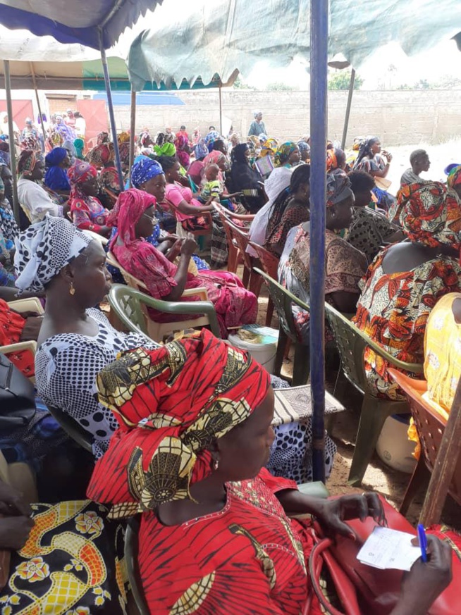 Oeuvre sociale: Association NIOMINKA a enregistré 850 femmes pour des consultations gratuites dans l'Ile du Saloum Oeuvre sociale: Association NIOMINKA a enregistré 850 femmes pour des consultations gratuites dans l'Ile du Saloum