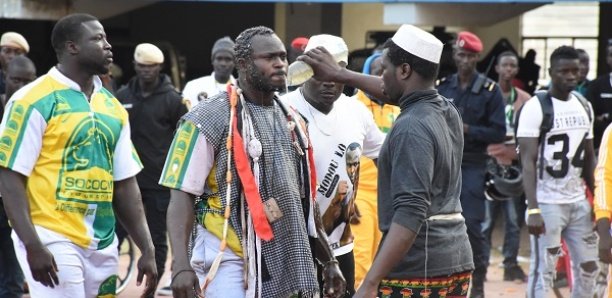 Modou Lô : « Cette saison je ne vais pas affronter… » Modou Lô : « Cette saison je ne vais pas affronter… »