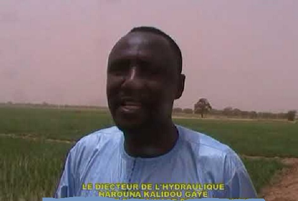 Sanction jugée arbitraire et sans fondement : une lettre Ouverte adressée à Harouna Kalidou Gaye Directeur de l’Hydraulique Sanction jugée arbitraire et sans fondement : une lettre Ouverte adressée à Harouna Kalidou Gaye Directeur de l’Hydraulique