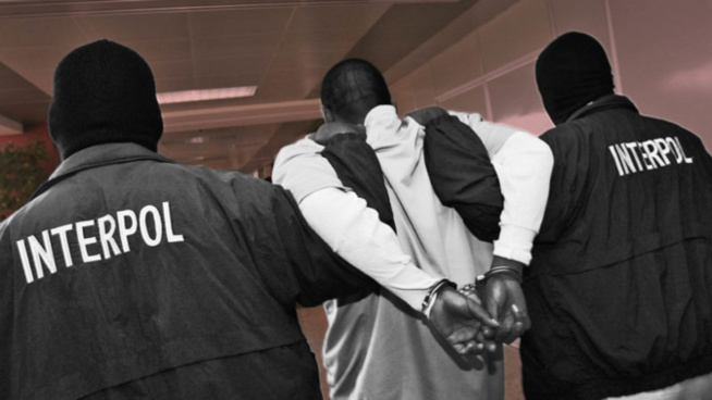 Interpol: L'arrestation du Syrien traqué à Karang
