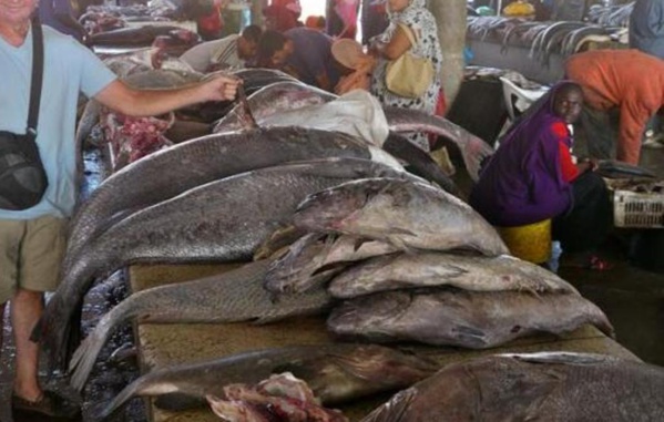 Marché aux poissons de Saint-Louis: Le bâtiment menace de s’effondrer