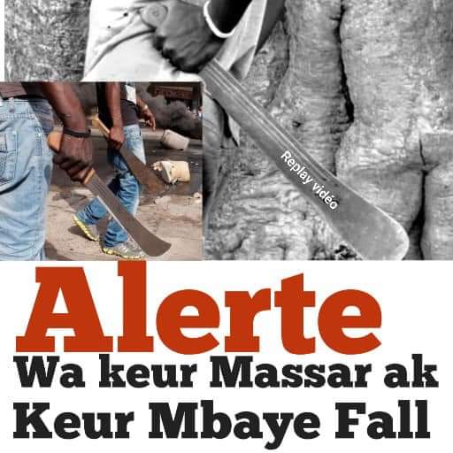 Alerte aux usagers de Keur Mbaye Fall, Petit Mbao : Des agresseurs opèrent sous le pont du croisement Keur Massar Alerte aux usagers de Keur Mbaye Fall, Petit Mbao : Des agresseurs opèrent sous le pont du croisement Keur Massar