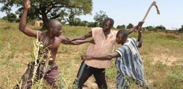 Kaffrine : Un affrontement entre agriculteurs et éleveurs fait un blessé Kaffrine : Un affrontement entre agriculteurs et éleveurs fait un blessé