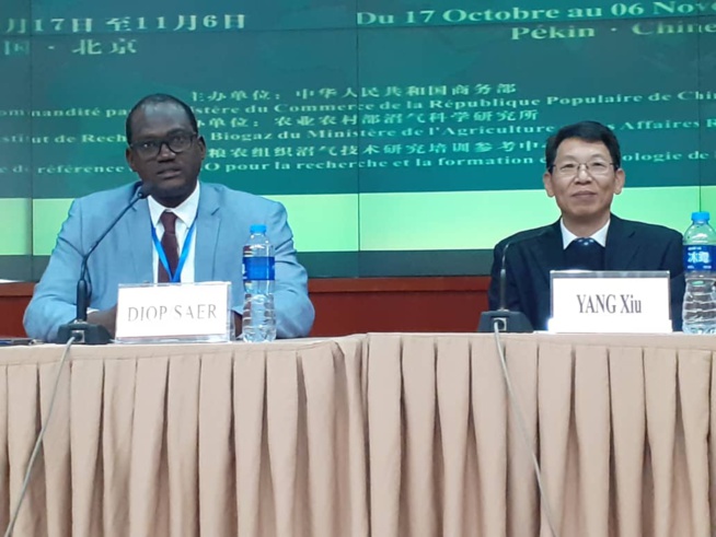 PROMOTION DE LA BIOMASSE: La Chine va installer un centre de formation au Sénégal PROMOTION DE LA BIOMASSE: La Chine va installer un centre de formation au Sénégal