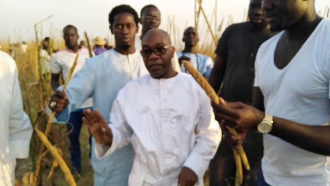 Serigne Saliou Thioune et ses talibés perpétuent l’héritage de Cheikh Bethio à Xelcom.Regardez