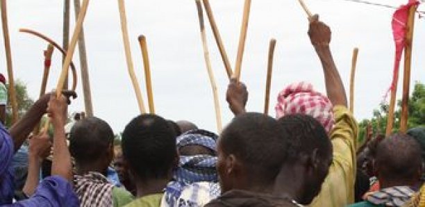 Île à Morphil : Un mort dans des affrontements entre agriculteurs et éleveurs Île à Morphil : Un mort dans des affrontements entre agriculteurs et éleveurs