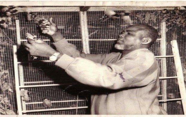 DEVENU RICHE GRACE AUX OISEAUX: La fabuleuse histoire de Amadou Diallo Pithie DEVENU RICHE GRACE AUX OISEAUX: La fabuleuse histoire de Amadou Diallo Pithie