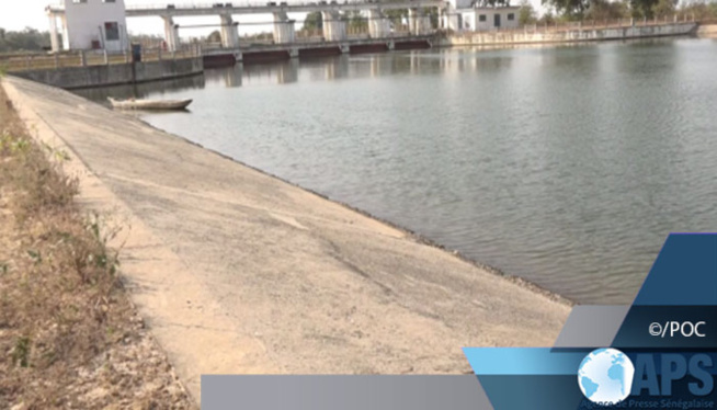 Casamance : le barrage d’Affignam réhabilité pour 6 milliards Casamance : le barrage d’Affignam réhabilité pour 6 milliards