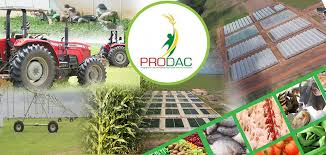 Prodac : un nouveau gré-à -gré de 4 milliards à Green 2000 Prodac : un nouveau gré-à -gré de 4 milliards à Green 2000