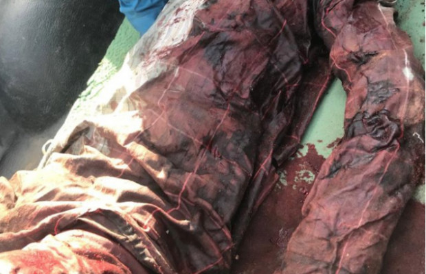 NDIOUROUL : Un adolescent tailladé à coups de machette par des bergers NDIOUROUL : Un adolescent tailladé à coups de machette par des bergers