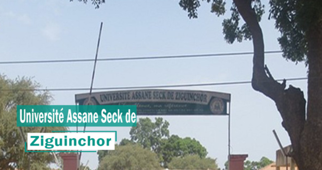 Université Assane Seck de Ziguinchor : le Sudes/Esr annonce une plainte contre le Recteur Courfia Kéba Diawara Université Assane Seck de Ziguinchor : le Sudes/Esr annonce une plainte contre le Recteur Courfia Kéba Diawara