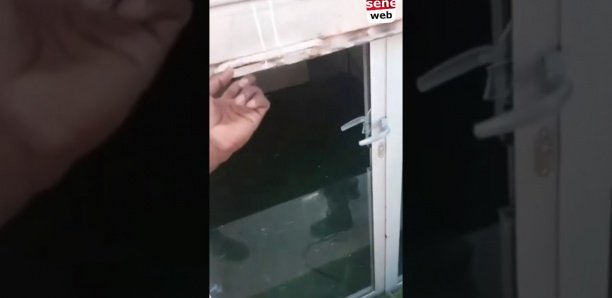 Vidéo – Saint-Louis: La boutique « Ndar » cambriolée, une forte somme emportée Vidéo – Saint-Louis: La boutique « Ndar » cambriolée, une forte somme emportée