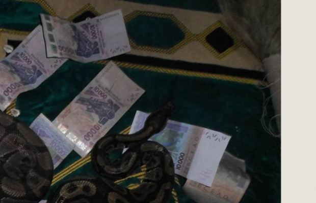 Sombre affaire de multiplication de billets de banque: le commerçant perd 7 millions, un serpent « déféré » avant de disparaitre mystérieusement Sombre affaire de multiplication de billets de banque: le commerçant perd 7 millions, un serpent « déféré » avant de disparaitre mystérieusement