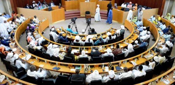 Débandade à l’Assemblée : 2 chats perturbent la séance Débandade à l’Assemblée : 2 chats perturbent la séance