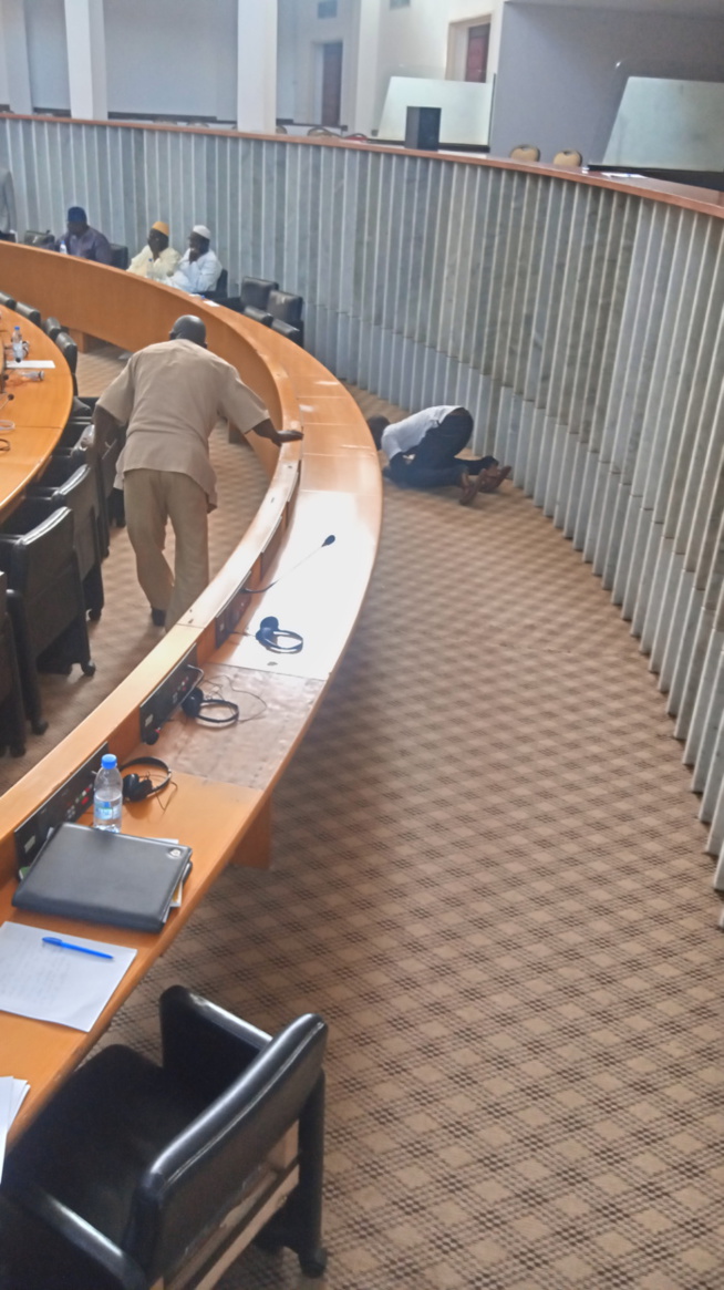 Insolite à l'Assemblée nationale: deux chats réussissent à suspendre la séance plénière Insolite à l'Assemblée nationale: deux chats réussissent à suspendre la séance plénière