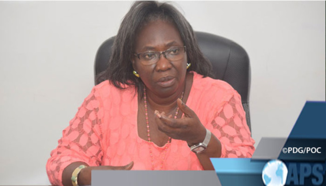 Affaire Tosyali : le ministre des Mines répond à Ousmane Sonko Affaire Tosyali : le ministre des Mines répond à Ousmane Sonko