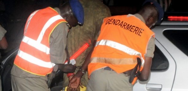 Arrondissement de Coki: La gendarmerie a arrêté le plus grand voleur de bétail