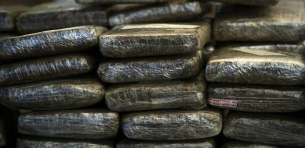 Drogue: La police saisit 41 kilos «Brown» de chanvre indien