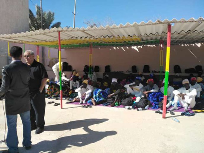 Naufrage en Mauritanie: Les 14 rescapés sénégalais reçus par le directeur des Sénégalais de l'extérieur. Naufrage en Mauritanie: Les 14 rescapés sénégalais reçus par le directeur des Sénégalais de l'extérieur.