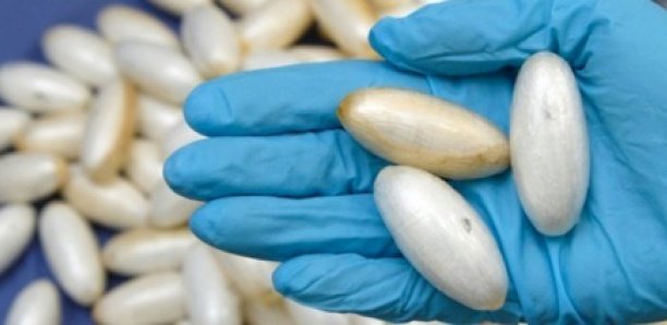 Arrêté en Italie : Un Sénégalais de 18 ans tente d’avaler 80 g de cocaïne Arrêté en Italie : Un Sénégalais de 18 ans tente d’avaler 80 g de cocaïne
