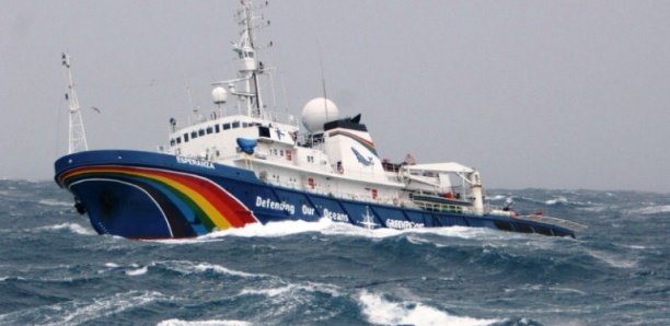 Farine de poisson : La réplique de Greenpeace au ministre de la Pêche Farine de poisson : La réplique de Greenpeace au ministre de la Pêche