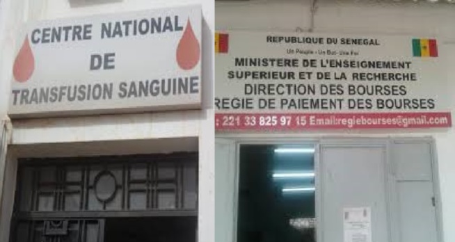Données personnelles: Ce que la CDP reproche au Cnts et à la Direction des Bourses Données personnelles: Ce que la CDP reproche au Cnts et à la Direction des Bourses