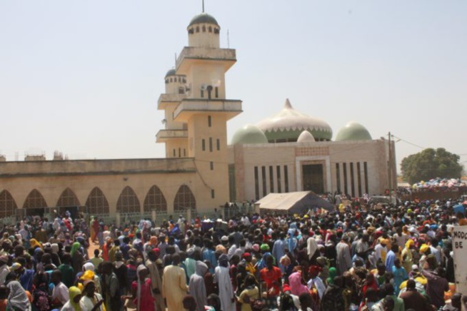 Magal de Porokhane: les doléances du comité d'organisation pour la réussite de l'évènement Magal de Porokhane: les doléances du comité d'organisation pour la réussite de l'évènement