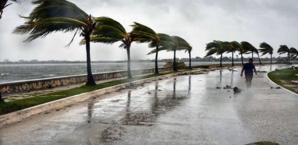 Météo : Des vents forts sur l’axe Banjul-Casamance Météo : Des vents forts sur l’axe Banjul-Casamance