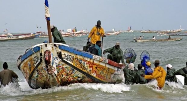 Accident en mer : Le ministre de la Pêche, Alioune Ndoye exhorte à plus de sensibilisation Accident en mer : Le ministre de la Pêche, Alioune Ndoye exhorte à plus de sensibilisation