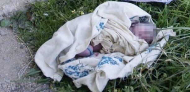 Oussouye : Un nouveau-né retrouvé en vie après 11 jours passés dans la brousse