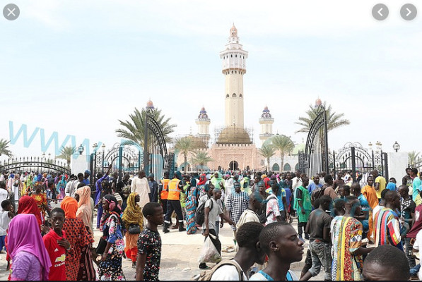 Police de Touba: Plus de 12 kg de drogue saisis, 42 gangs démantelés, 1225 individus déférés en 2019 Police de Touba: Plus de 12 kg de drogue saisis, 42 gangs démantelés, 1225 individus déférés en 2019