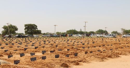 Profanation cimetière Bakhiya: Le dahira en charge de la sécurité donne les raisons Profanation cimetière Bakhiya: Le dahira en charge de la sécurité donne les raisons