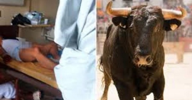 Il prend un stimulant sexuel utilisé pour l’élevage de taureaux, et le pire se produit Il prend un stimulant sexuel utilisé pour l’élevage de taureaux, et le pire se produit