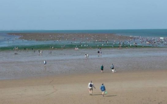 Thiaroye/Mer: du carburant suspect sur la plage, les populations alertent Thiaroye/Mer: du carburant suspect sur la plage, les populations alertent