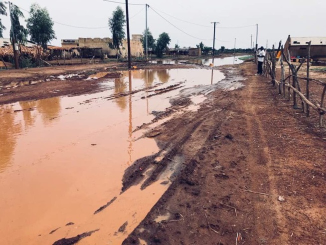 Bitumage de l'axe Nawel-Dembakané: Des ressortissants de Matam marchent vendredi à Dakar