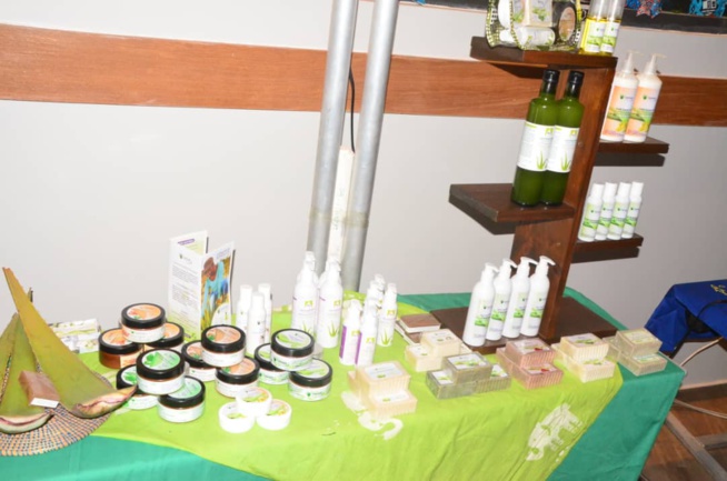 En direct Pullman: FDSUT lance la journée des START-UPS, expositions des participants. En direct Pullman: FDSUT lance la journée des START-UPS, expositions des participants.