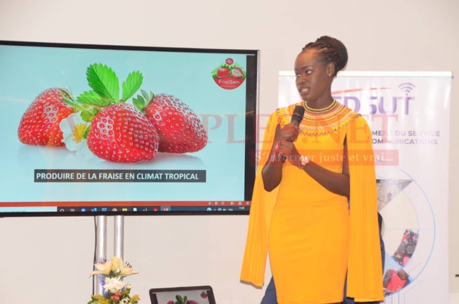 Panel des exposants à la journée des START-UPS avec le Fonds de développement du service universel des télécommunications. Panel des exposants à la journée des START-UPS avec le Fonds de développement du service universel des télécommunications.