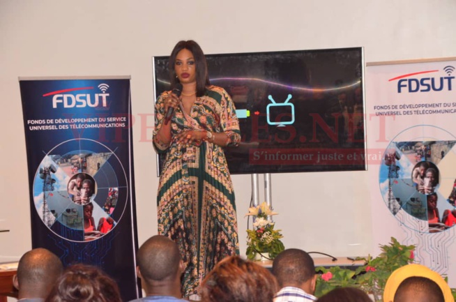 Panel des exposants à la journée des START-UPS avec le Fonds de développement du service universel des télécommunications. Panel des exposants à la journée des START-UPS avec le Fonds de développement du service universel des télécommunications.