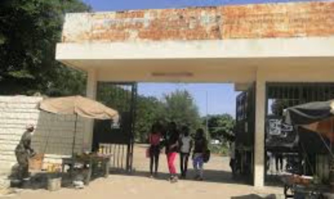 Education : un déficit de 20 000 enseignants, selon Pastef Education : un déficit de 20 000 enseignants, selon Pastef