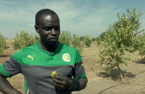 Ferdinand Coly : « Ce qui s’est cassé dans la génération 2002 » Ferdinand Coly : « Ce qui s’est cassé dans la génération 2002 »
