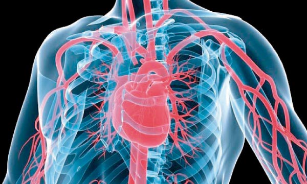 Prise en charge maladies cardiovasculaires au Sénégal: 7 milliards de FCfa investis dans les évacuations sanitaires Prise en charge maladies cardiovasculaires au Sénégal: 7 milliards de FCfa investis dans les évacuations sanitaires