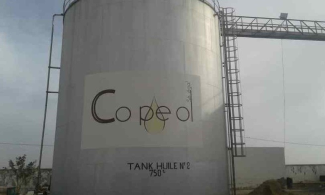 200 contractuels déjà licenciés : La Copeol risque le dépôt de bilan pour une dette de 11 milliards 200 contractuels déjà licenciés : La Copeol risque le dépôt de bilan pour une dette de 11 milliards