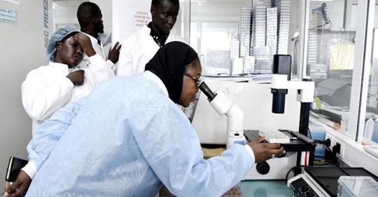 Maladie, hospitalisation, alerte… : Tout savoir sur le 1er cas de coronavirus au Sénégal Maladie, hospitalisation, alerte… : Tout savoir sur le 1er cas de coronavirus au Sénégal