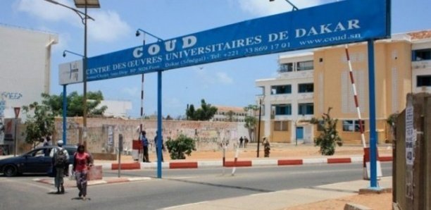 Ucad : Deux étudiants arrêtés pour trafic de drogue Ucad : Deux étudiants arrêtés pour trafic de drogue