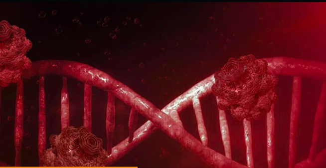 La Russie a entièrement décodé le génome du coronavirus La Russie a entièrement décodé le génome du coronavirus