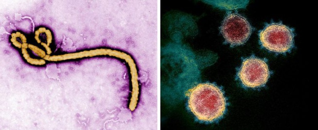 Covid-19 : où en sont les traitements et vaccins ?